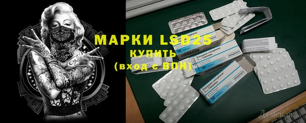 ПСИЛОЦИБИНОВЫЕ ГРИБЫ Аркадак